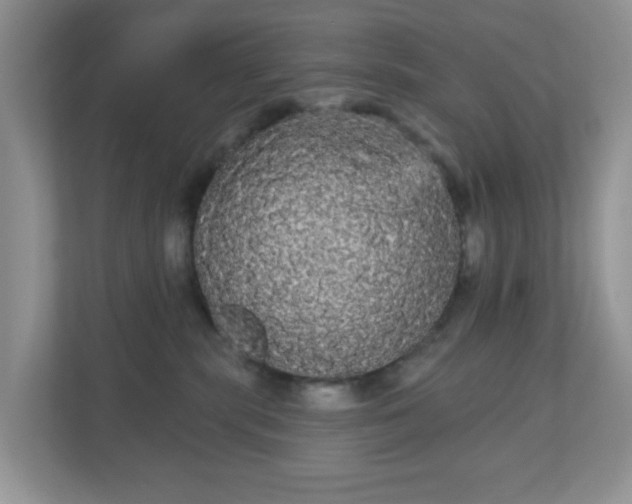 X0000111050283200907021626