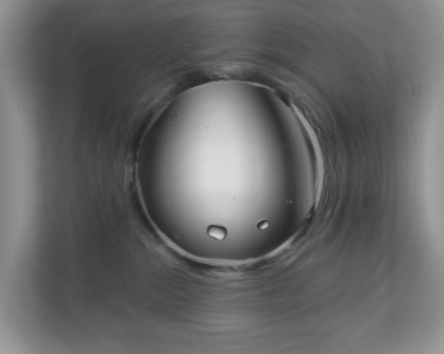 X0000111050284200907021626