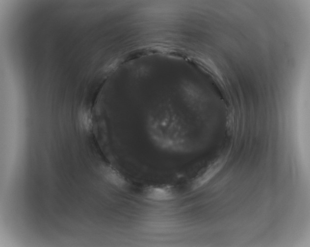 X0000111050285200907021626