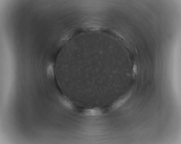 X0000111050286200907021626