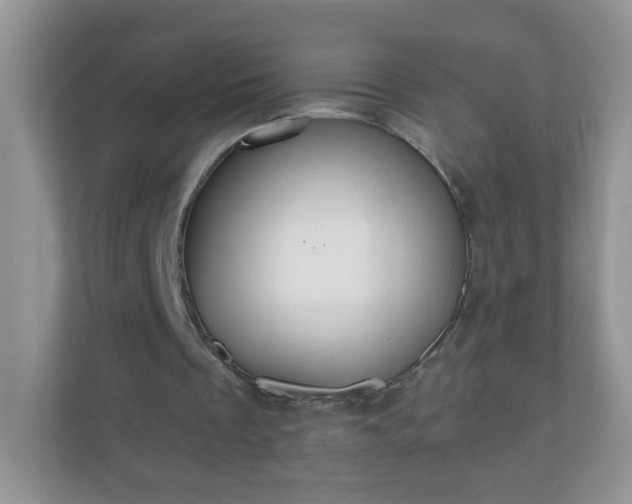 X0000111050289200907021625