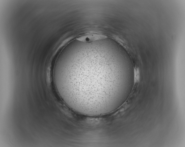 X0000111050291200907021625