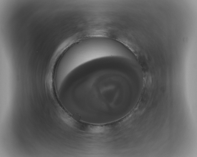 X0000111050293200907021625