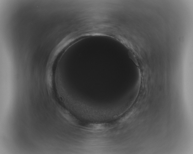 X0000111050295200907021625