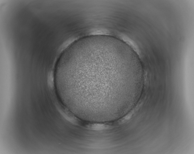 X0000111050298200907021625