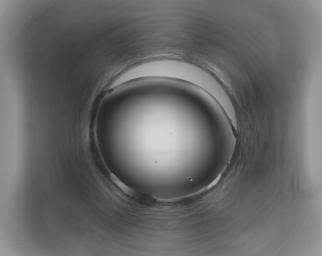 X0000111050299200907021625