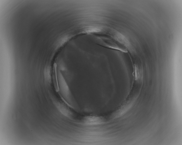 X0000111050300200907021625