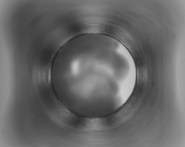 X0000111050301200907021625