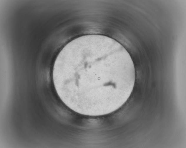 X0000111050302200907021625