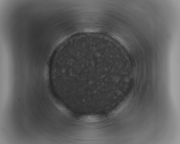 X0000111050303200907021625