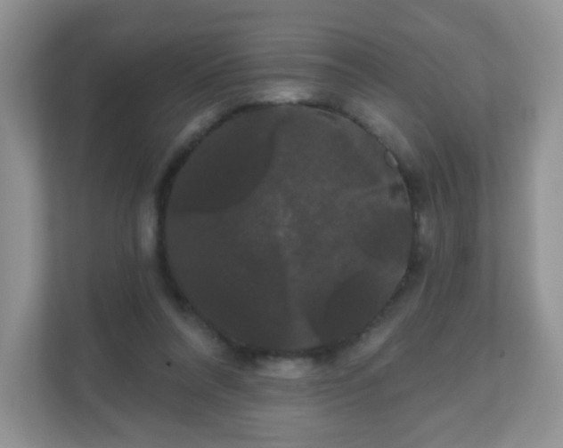 X0000111050304200907021625