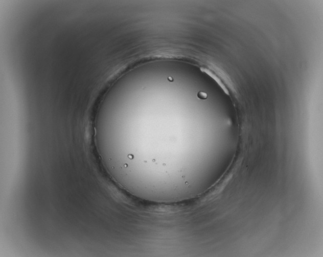 X0000111050305200907021625