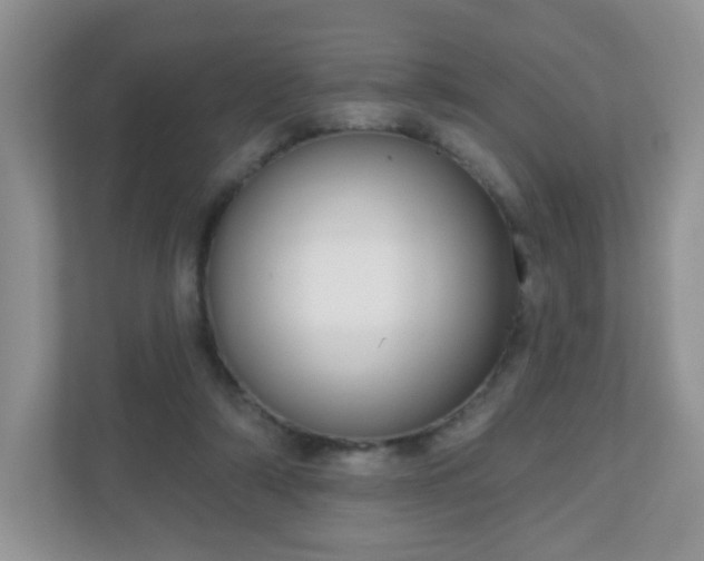 X0000111050306200907021625