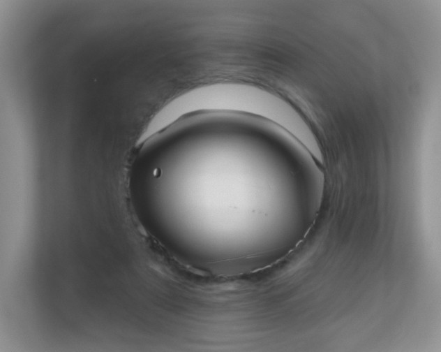 X0000111050307200907021625