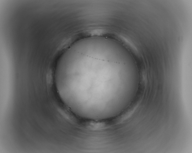 X0000111050311200907021625