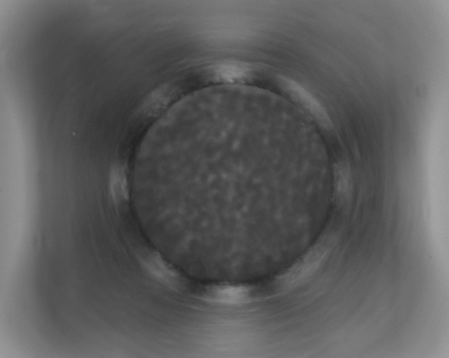 X0000111050313200907021625