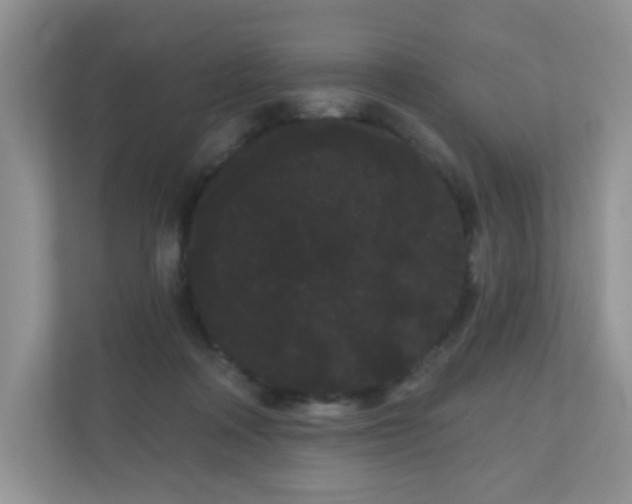 X0000111050314200907021625