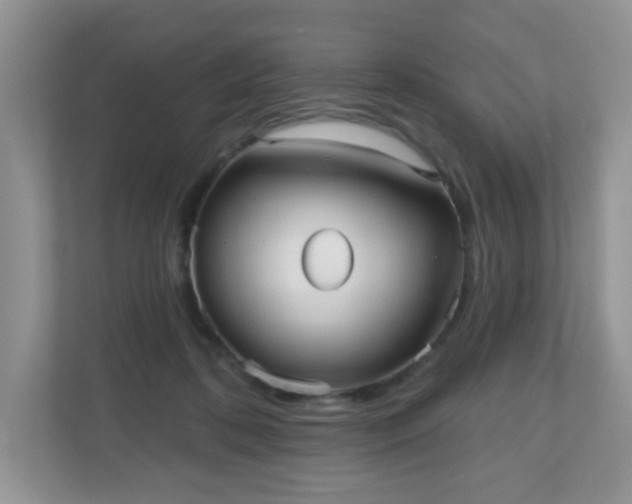 X0000111050316200907021625