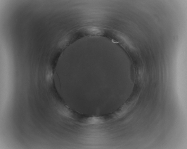 X0000111050320200907021625