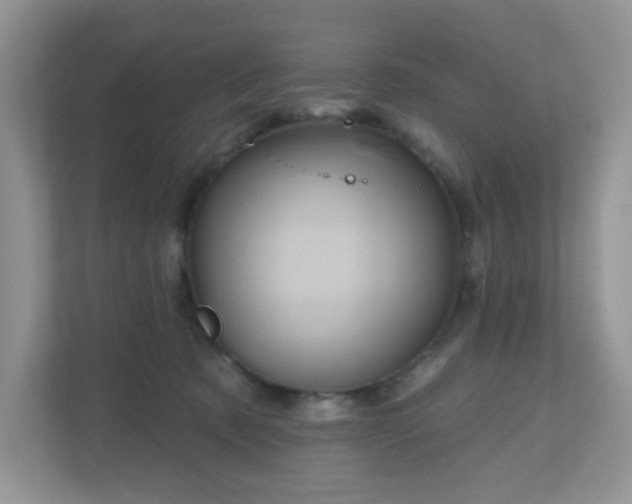 X0000111050321200907021625