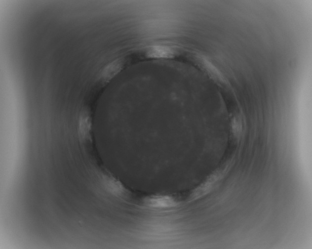 X0000111050322200907021625