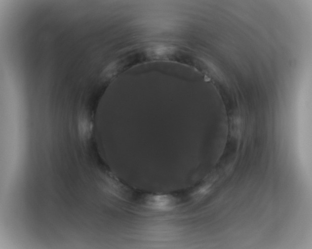 X0000111050324200907021625