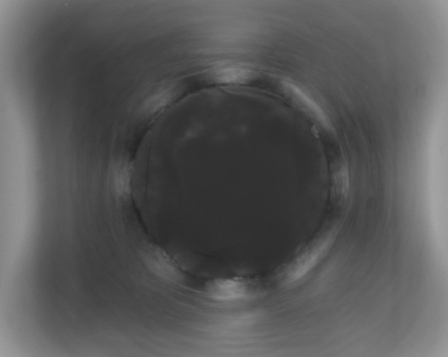 X0000111050325200907021625