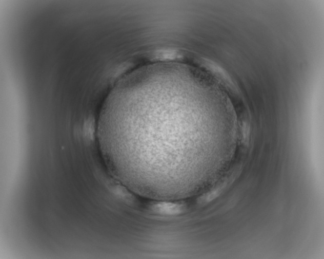 X0000111050326200907021625