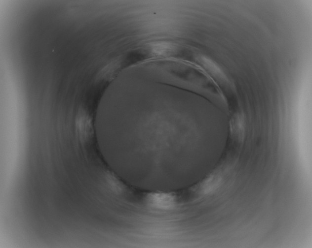 X0000111050327200907021625