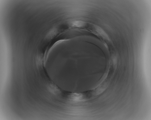 X0000111050328200907021624