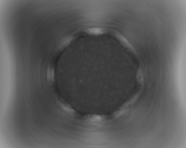 X0000111050330200907021624