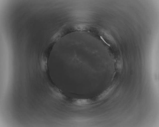 X0000111050332200907021624