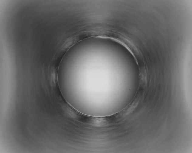 X0000111050333200907021624