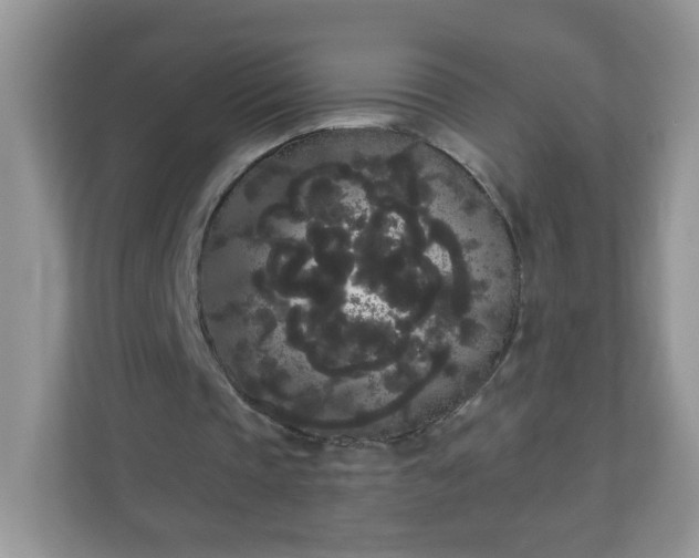 X0000111050337200907021624