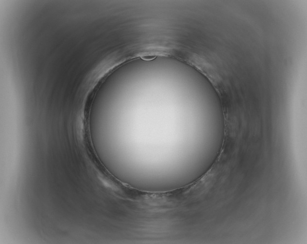 X0000111050338200907021624