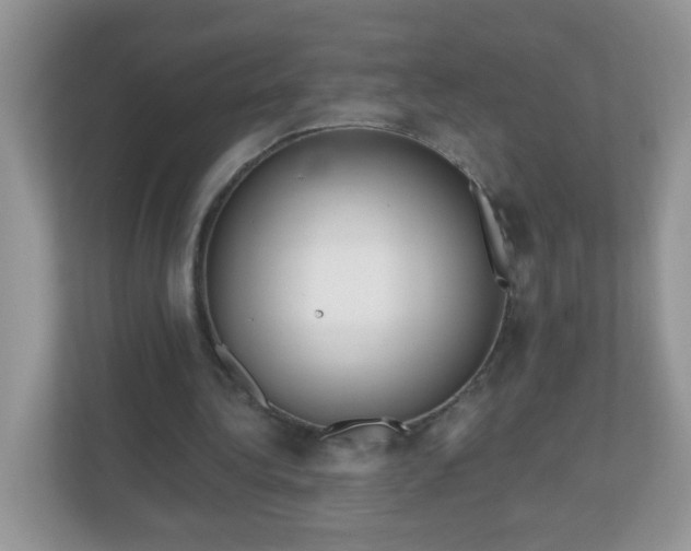 X0000111050340200907021624