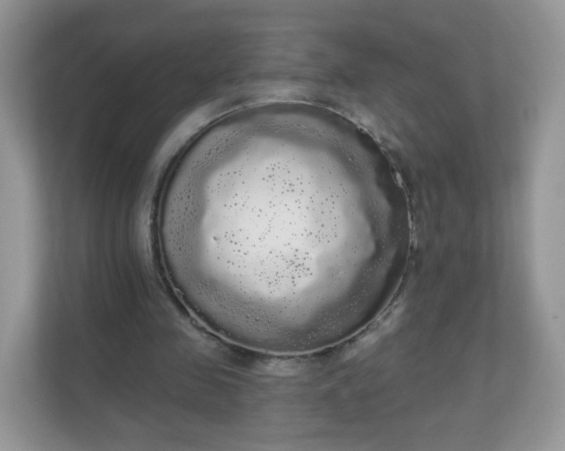 X0000111050341200907021624