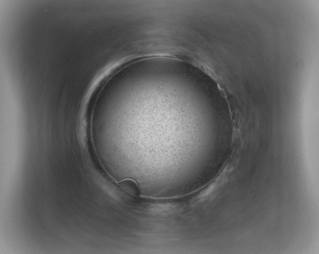 X0000111050342200907021624