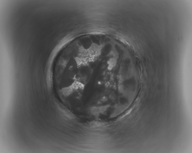 X0000111050343200907021624