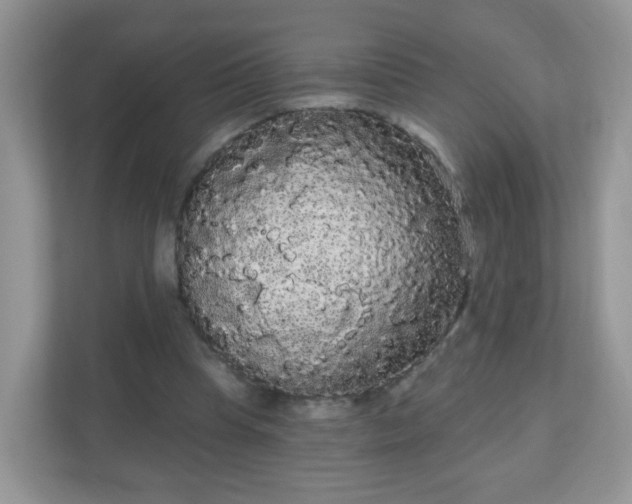 X0000111050345200907021624