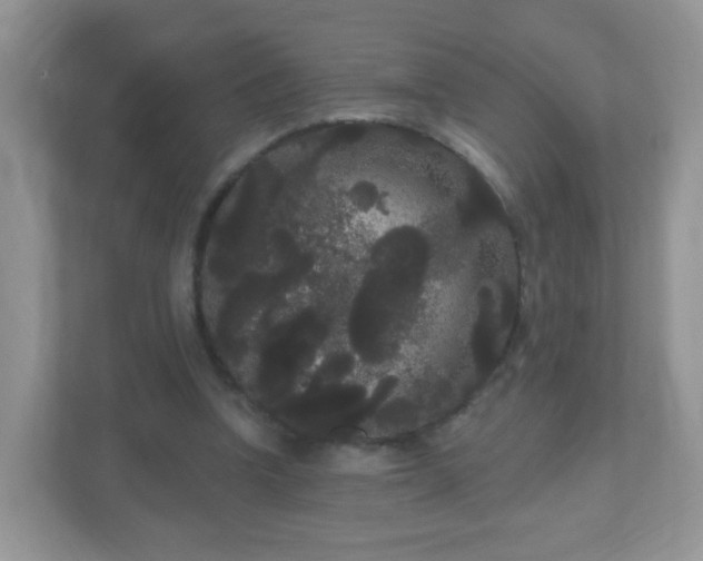 X0000111050346200907021624