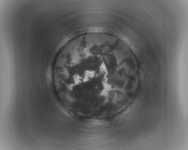 X0000111050347200907021624