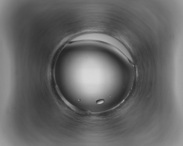 X0000111050348200907021624