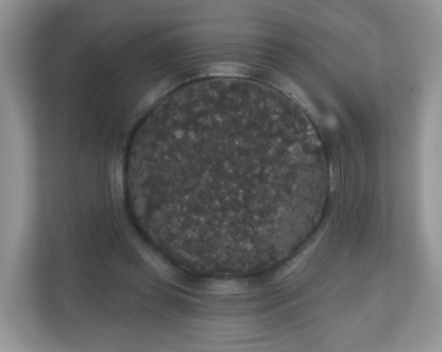 X0000111050349200907021624