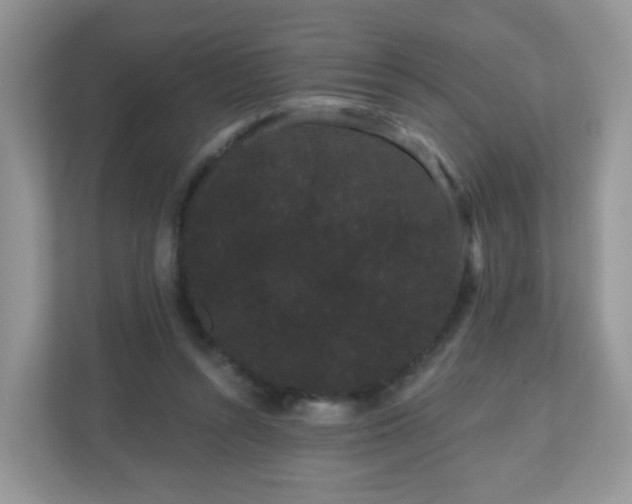 X0000111050352200907021624