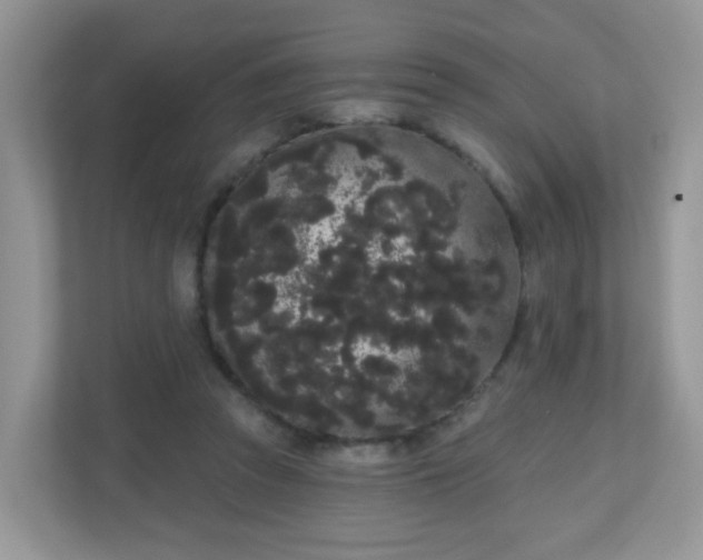 X0000111050353200907021624