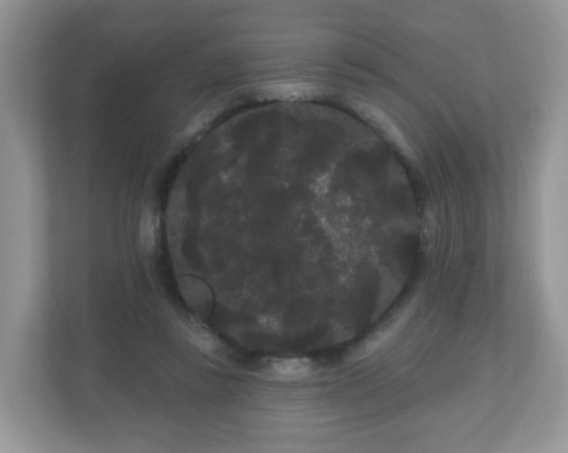 X0000111050355200907021624