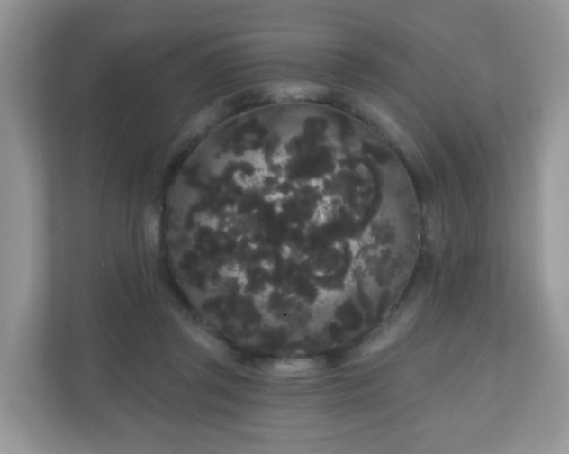 X0000111050357200907021624