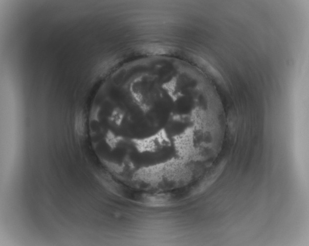 X0000111050359200907021624