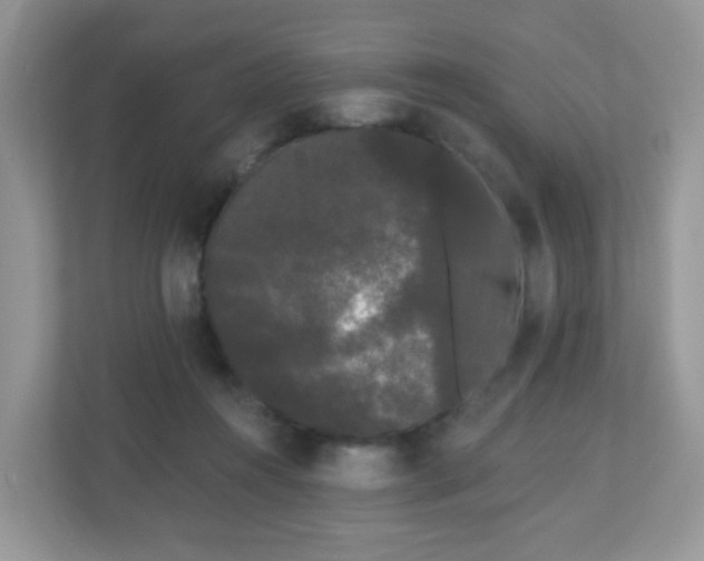 X0000111050360200907021624